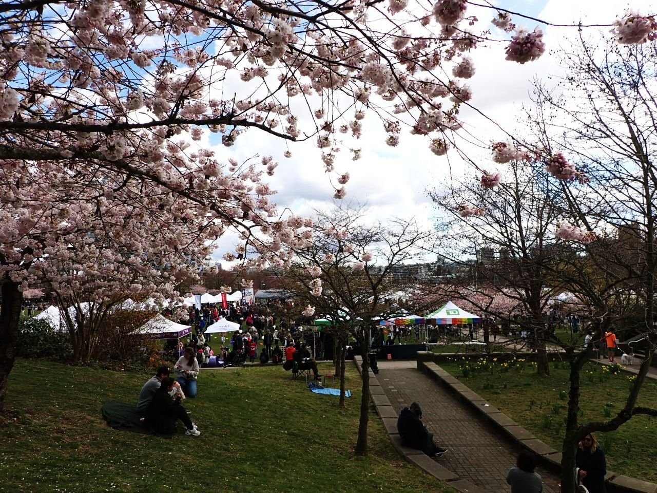 DL_Park_Festival0002.jpg