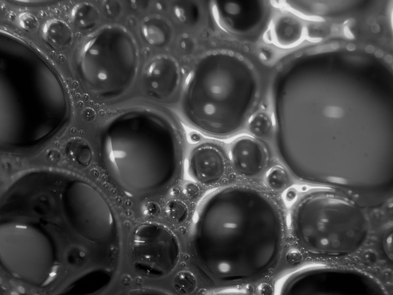 20250228_0010.jpg