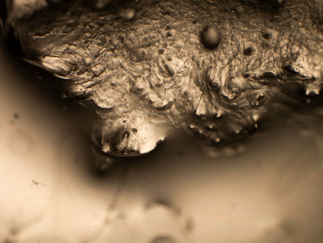 P1140394-1.jpg