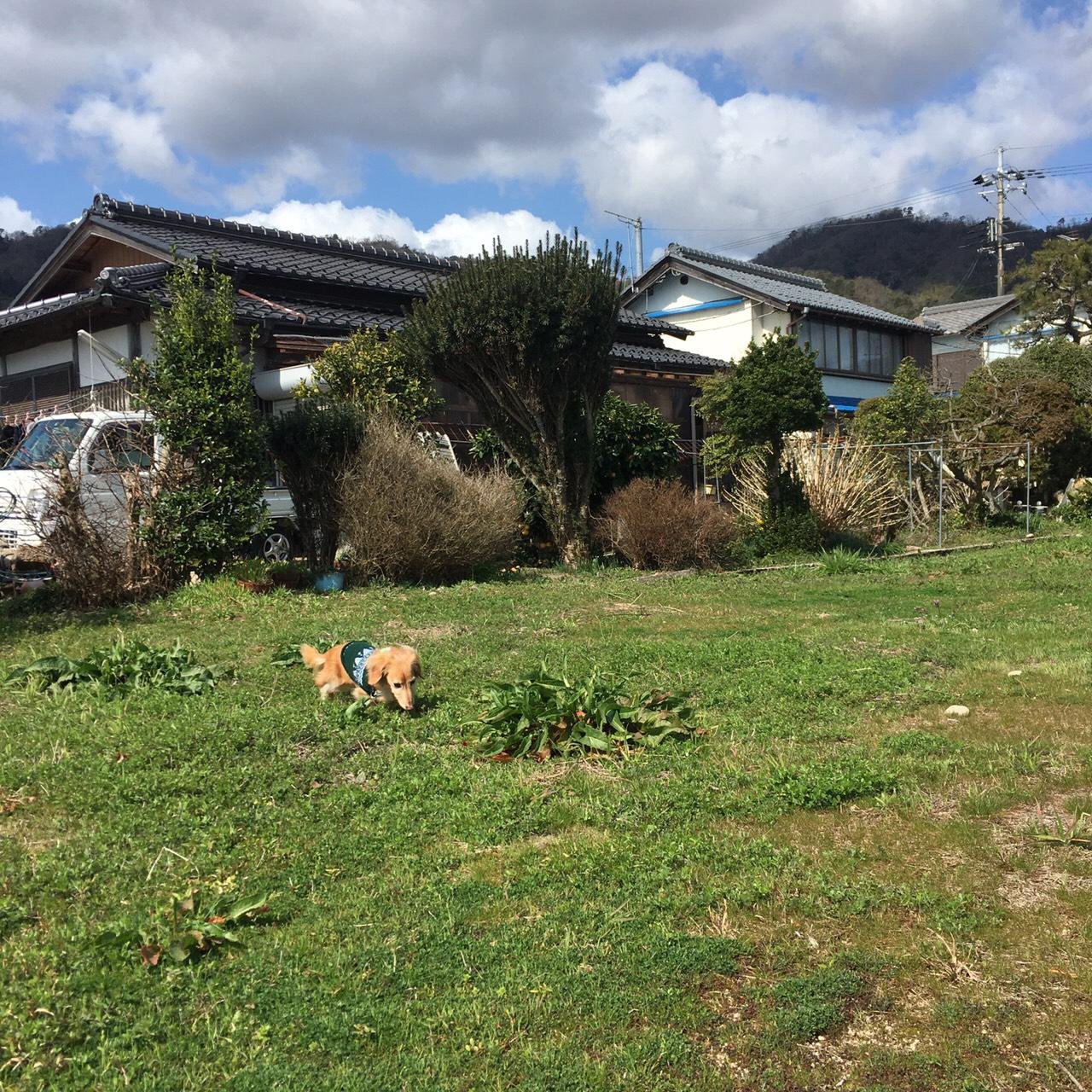 IMG-20210313-WA0013.jpg