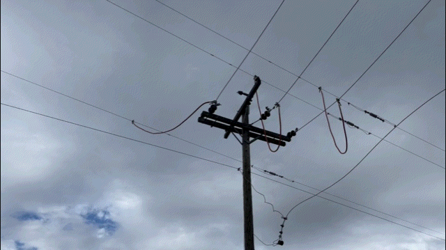 15C70206-98D5-436E-A826-8597E4A86FCA.gif
