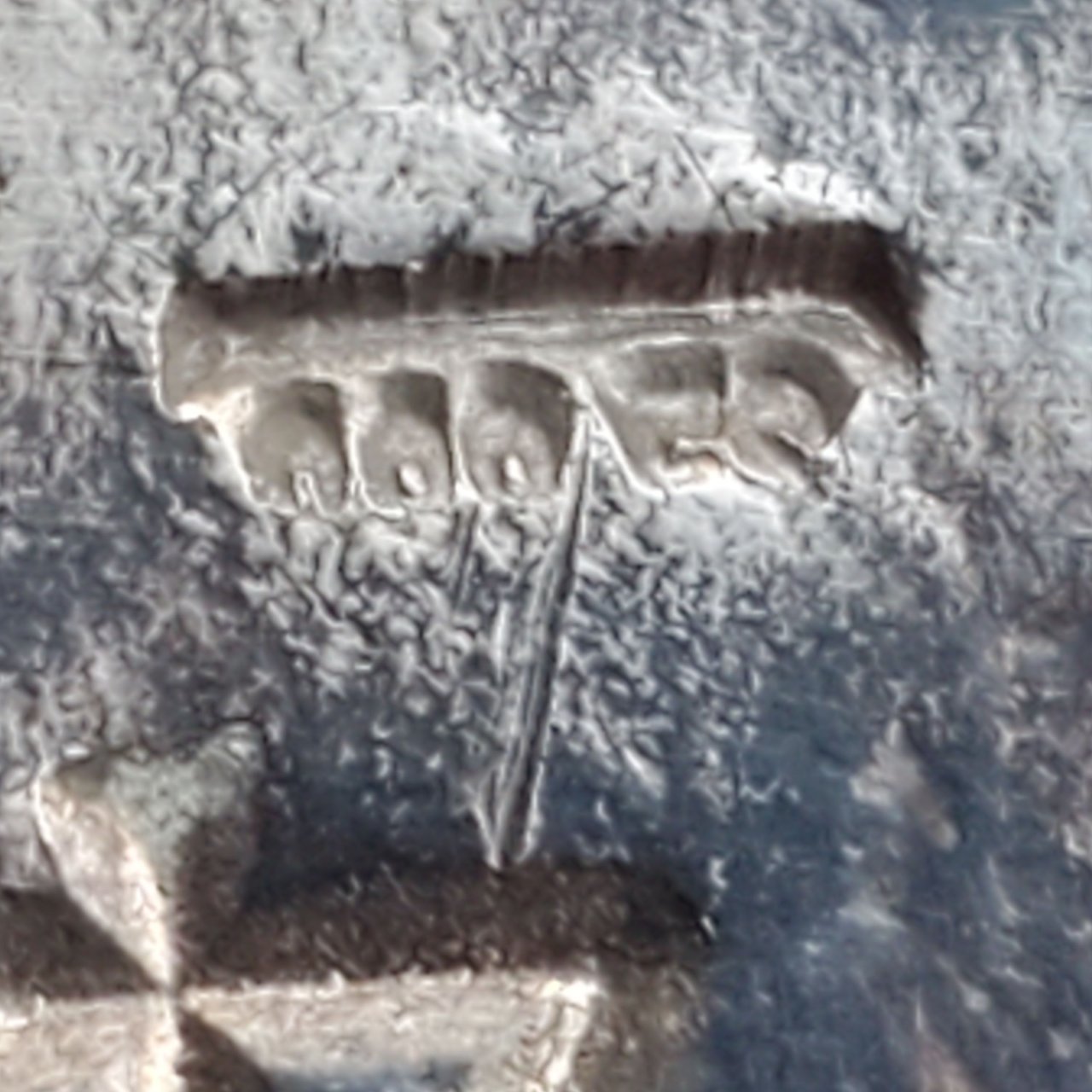 20231113_154618.jpg