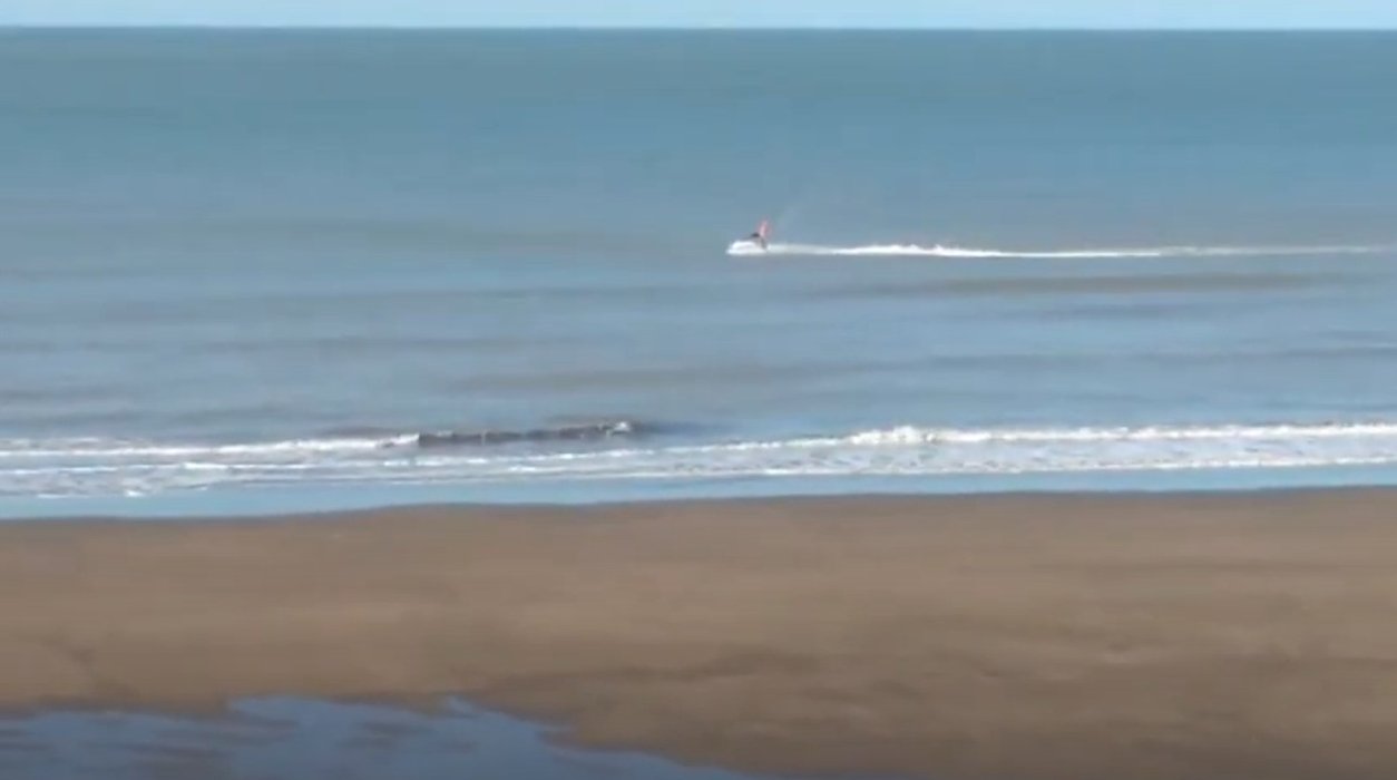 Fishing in Pehuen-Co attracts an infinite number of tourists every year 