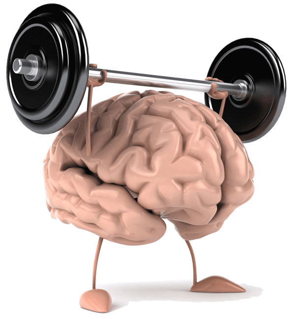 BE1A55B6-1BB4-4E5E-8F9D-ABCEBDC1B245.png