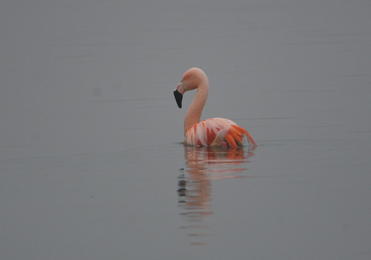 DSC_3994.JPG