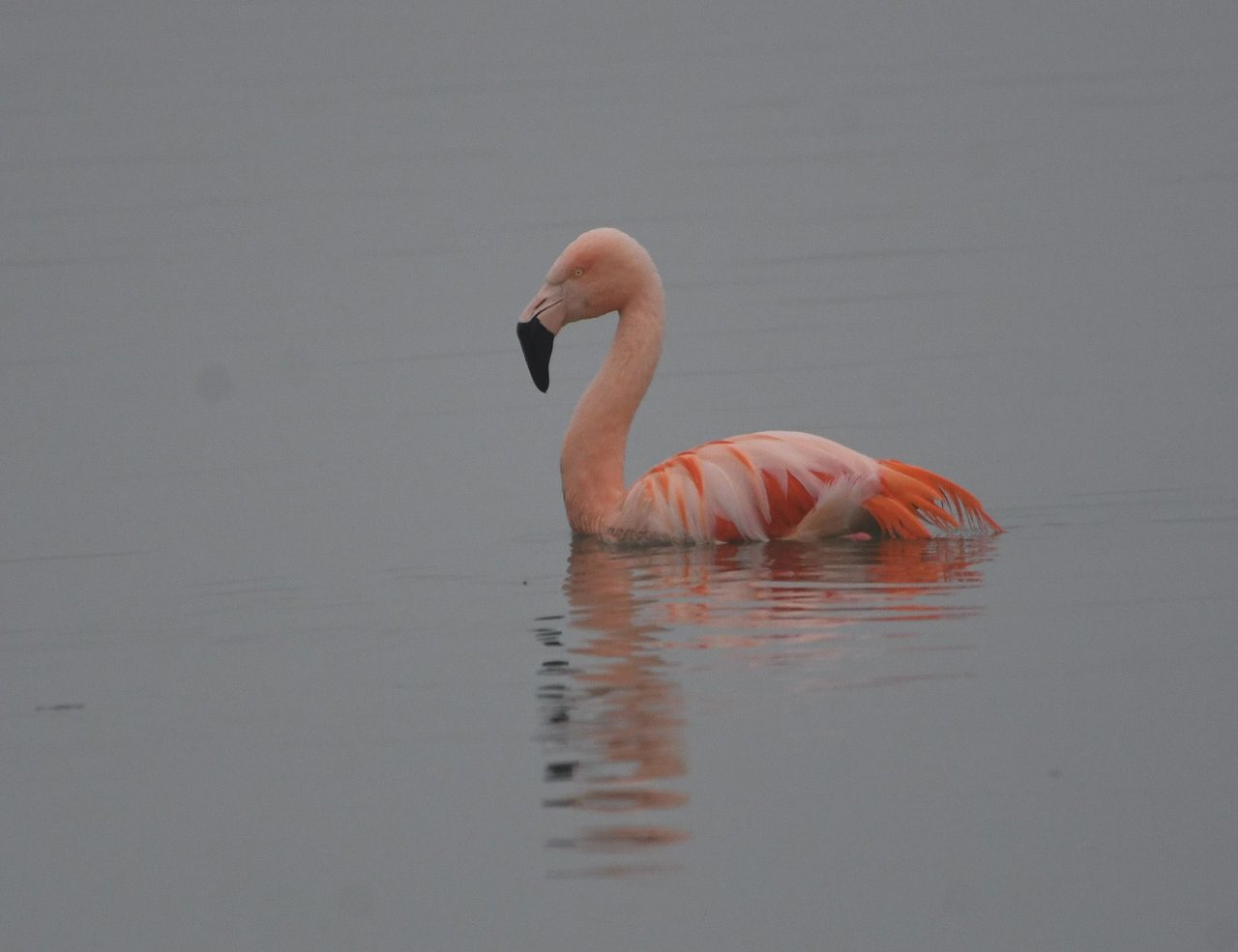 DSC_4010.jpg