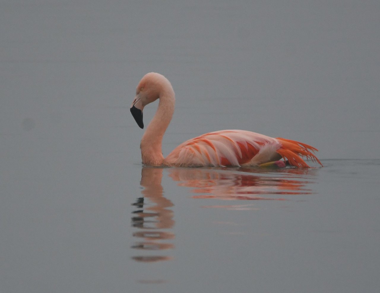 DSC_4038.JPG