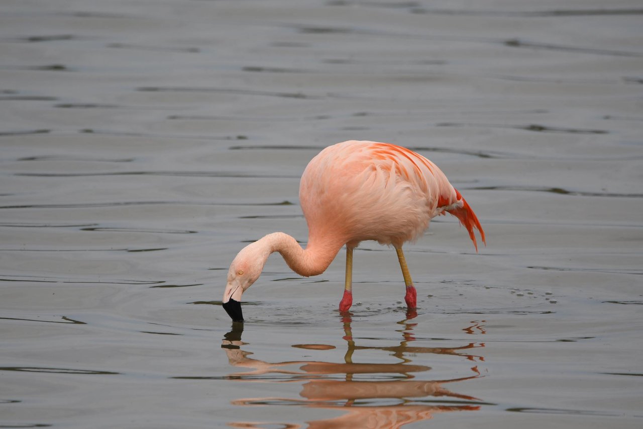 DSC_8083.jpg