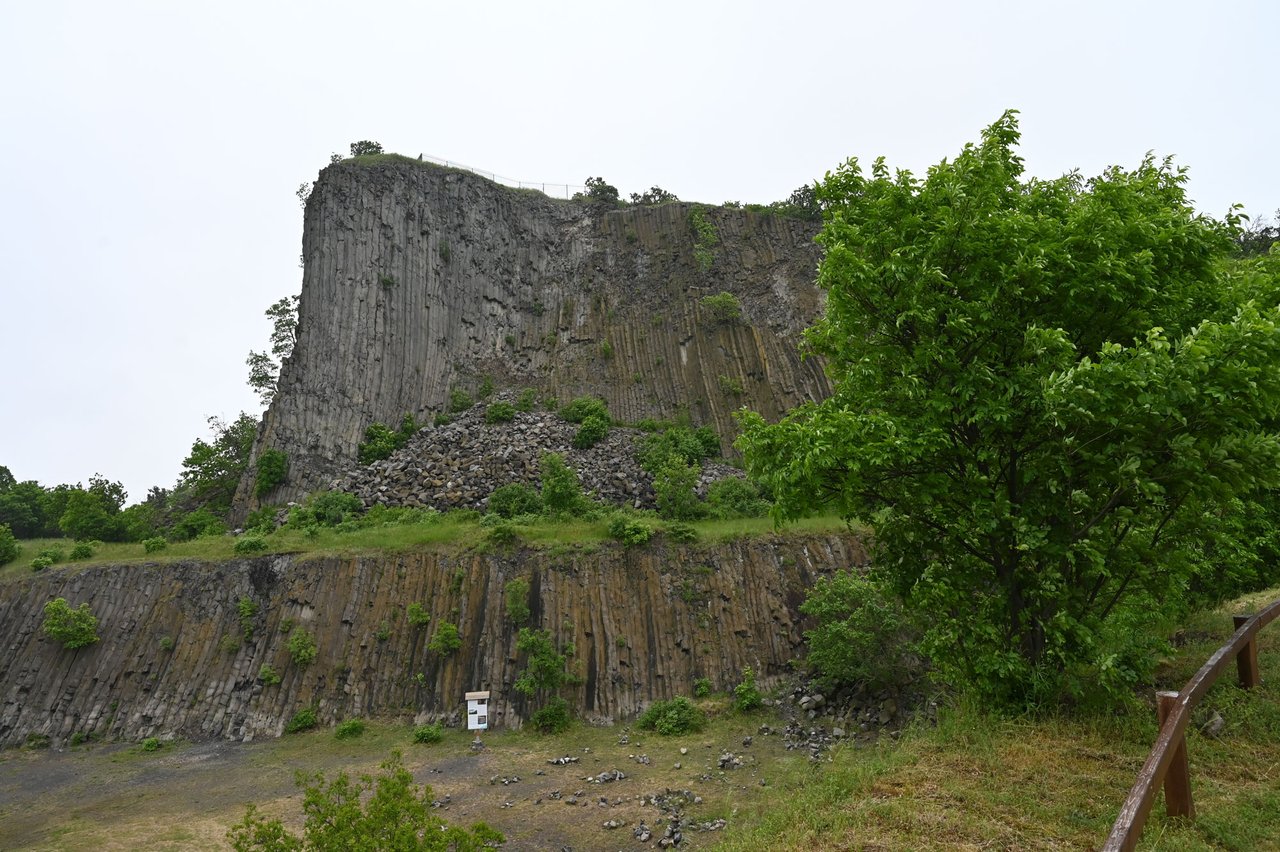 Z62_5473.JPG