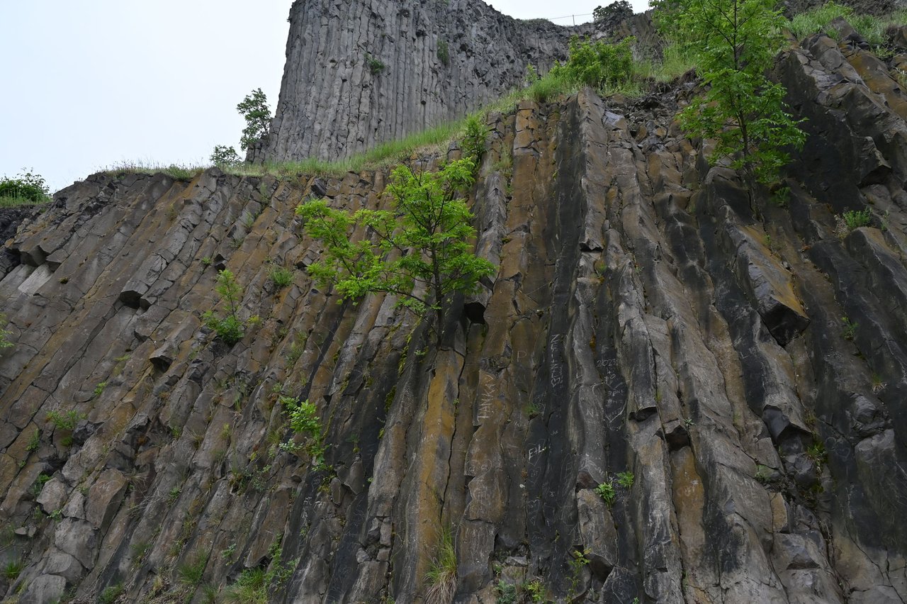 Z62_5380.JPG