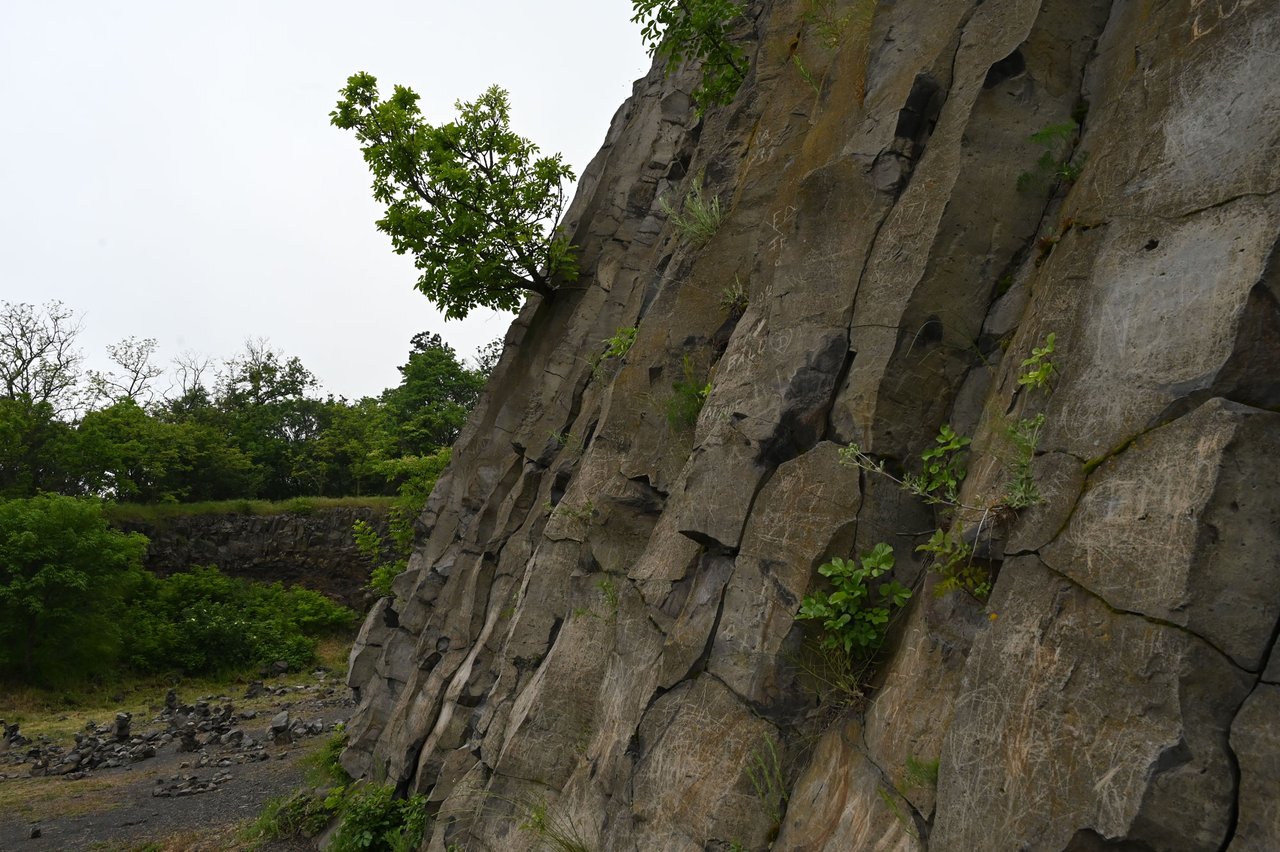 Z62_5446.JPG