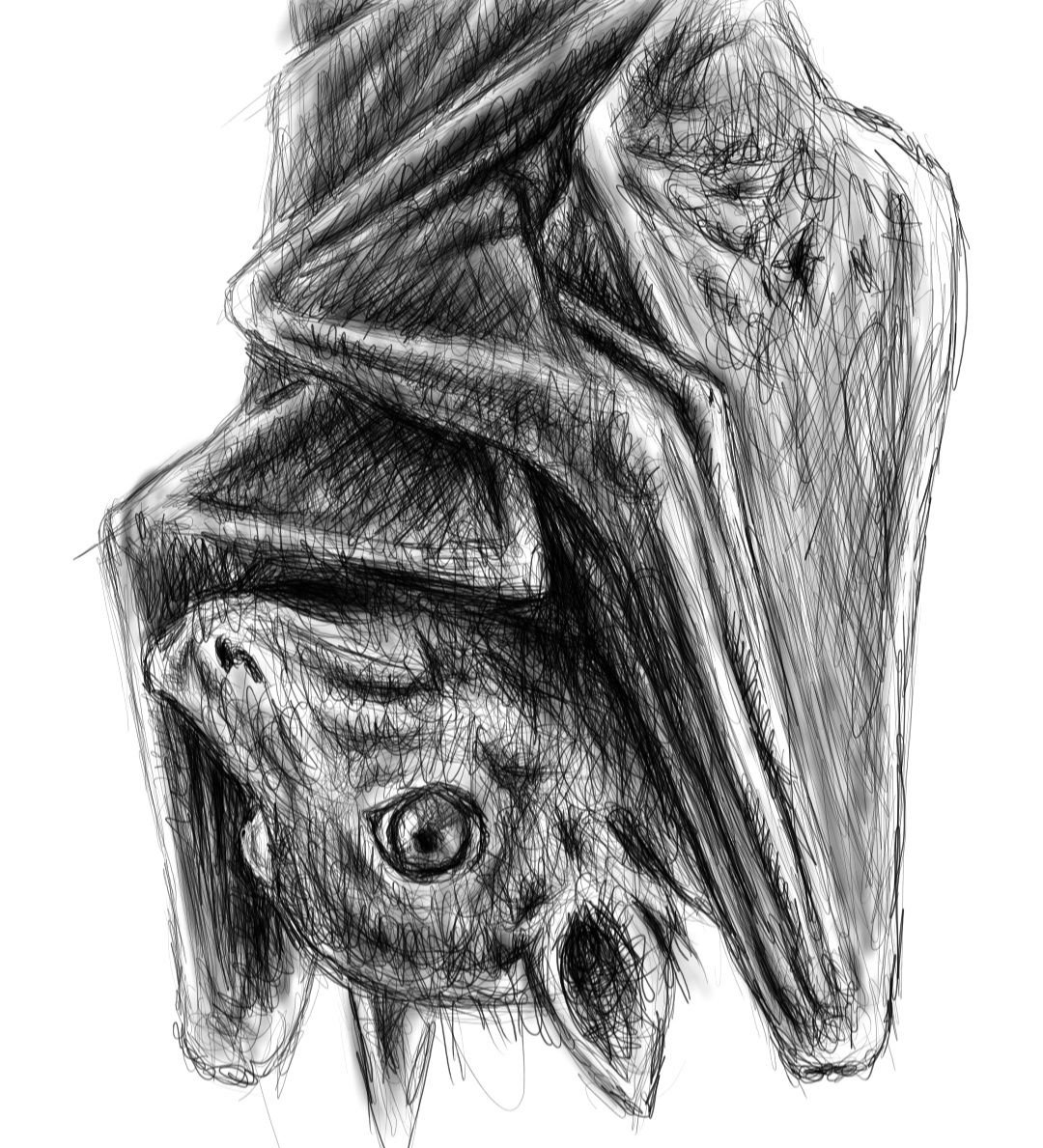 Screenshot_20221118-155144_Autodesk SketchBook.jpg