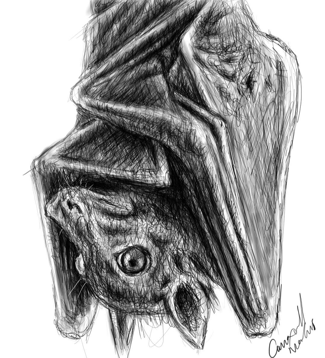 Screenshot_20221118-155628_Autodesk SketchBook.jpg