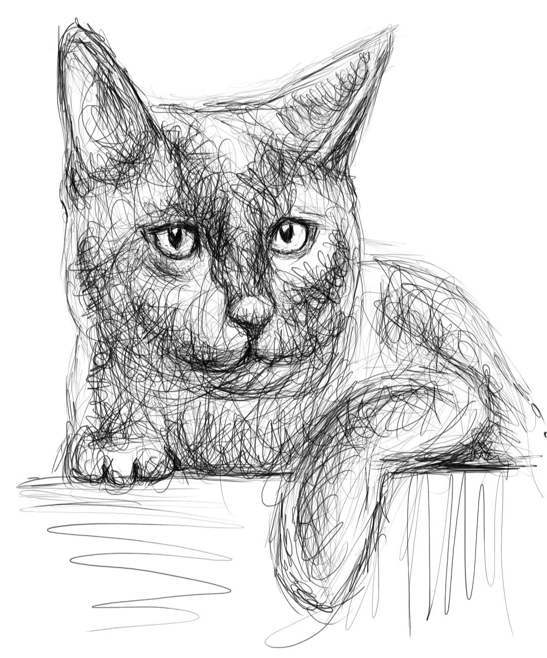 Screenshot_20221205-164154_Autodesk SketchBook.jpg