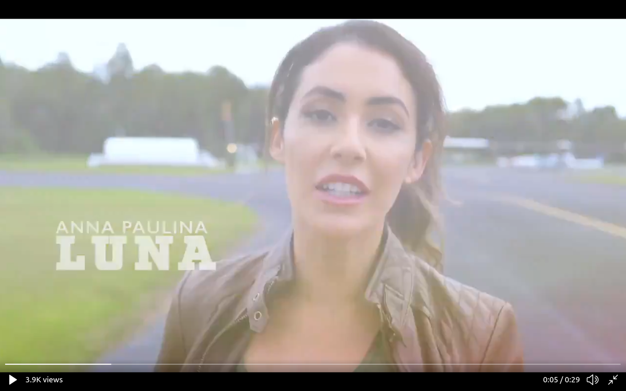 Screenshot at 2020-09-15 15:48:36 Anna Luna.png