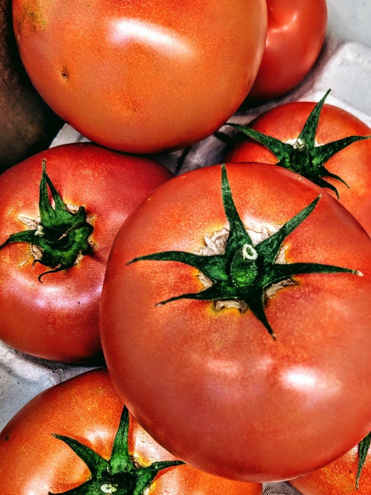 tomato.jpeg