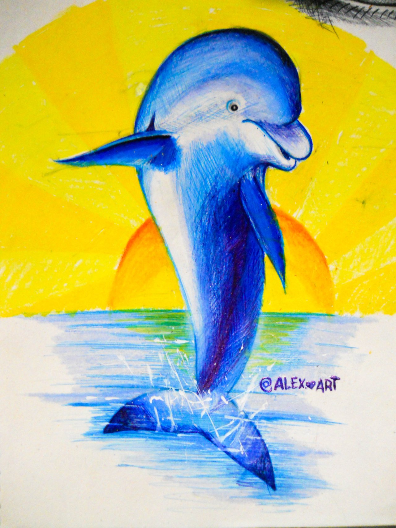 delfin8.jpg