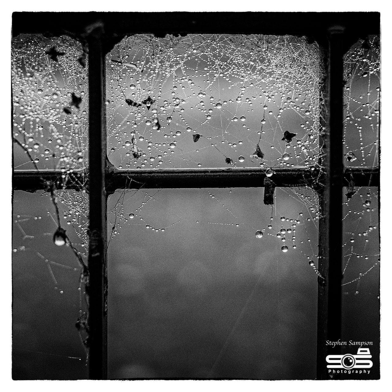 Walk in the park 2 BW.jpg