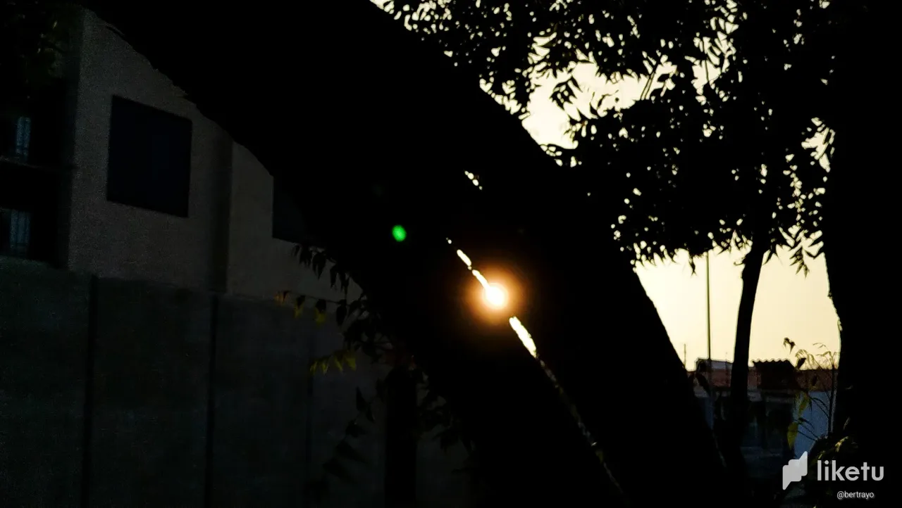 clvf7pe2g0005emsz7en03j8i_IMG_20240423_062909.webp