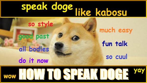 Kabosu, the Dogecoin Mascot, at home