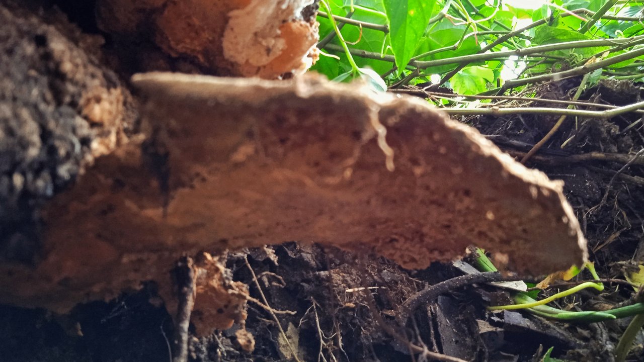 IMG_20210913_174329-01.jpeg
