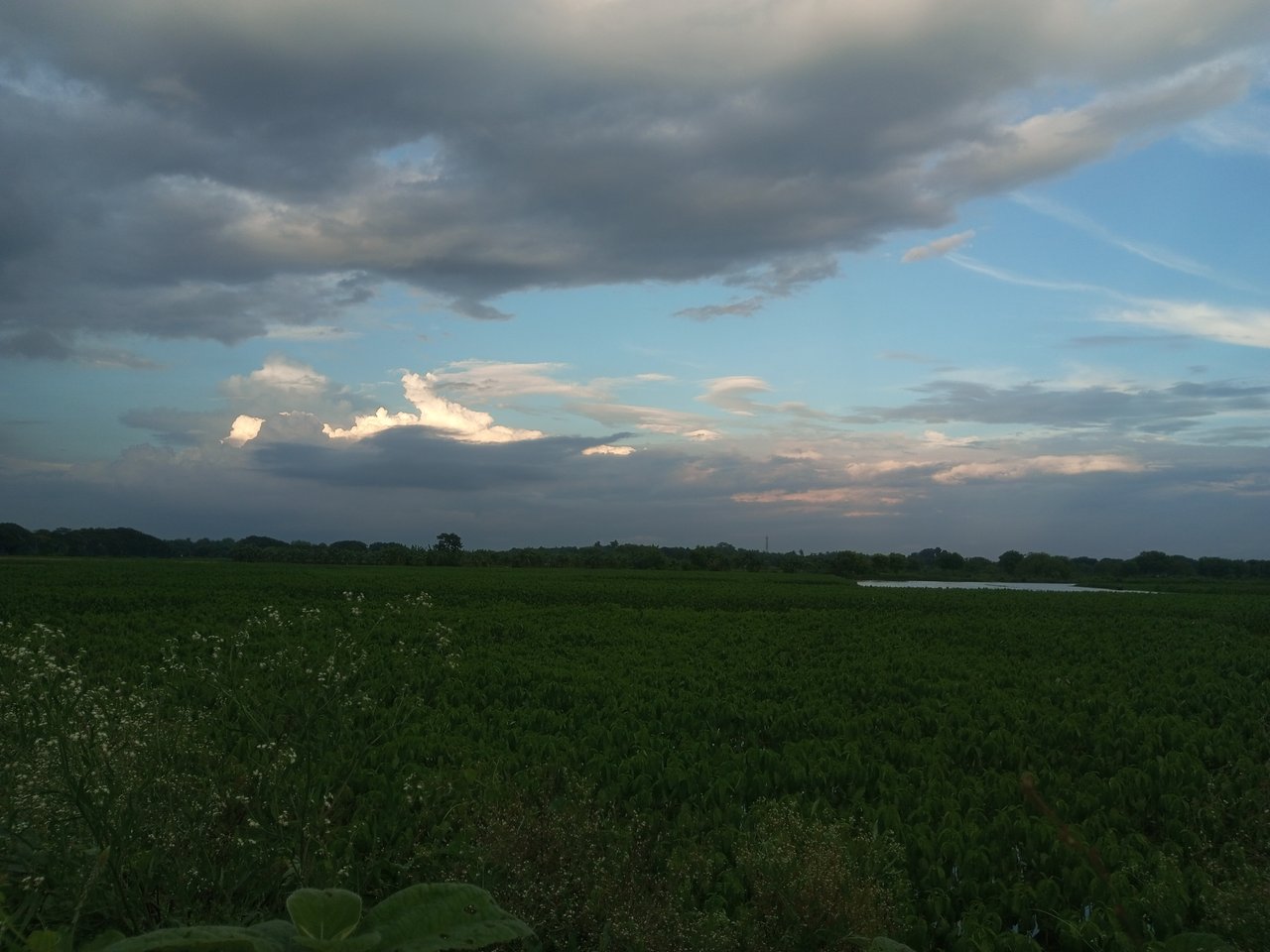 IMG_20250528_182048_298.jpg