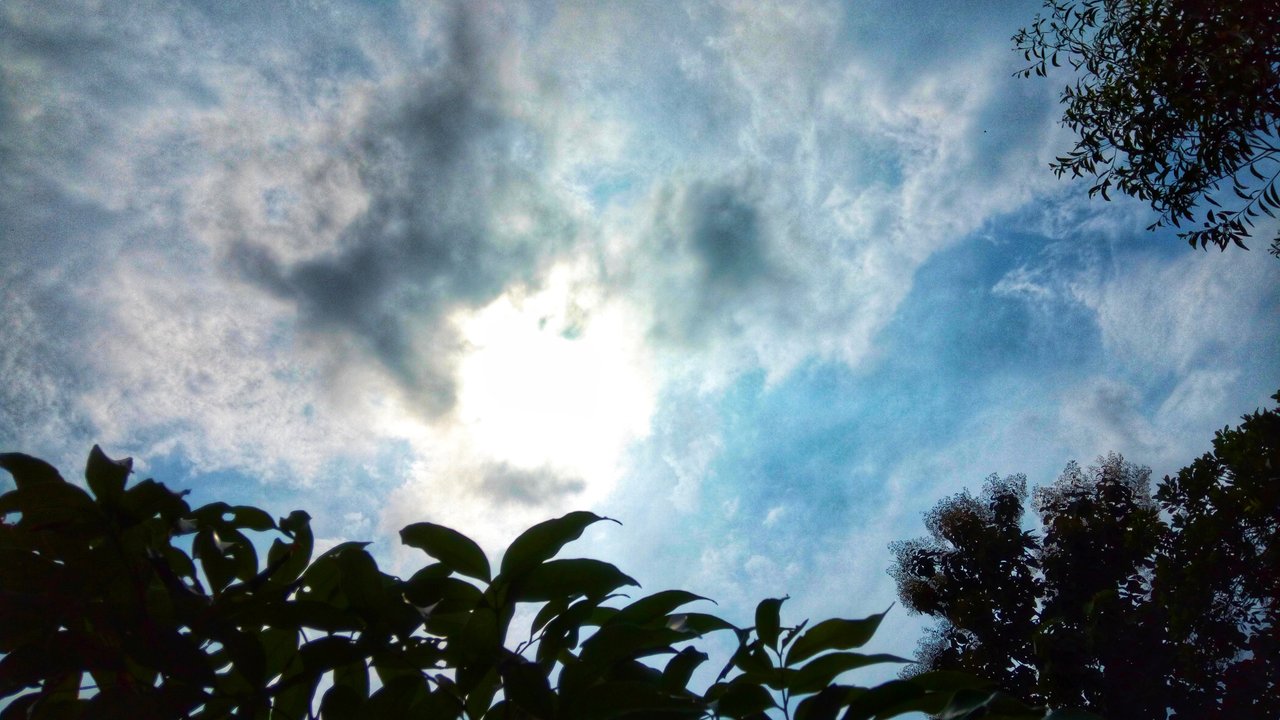IMG_20200926_131649-01.jpeg