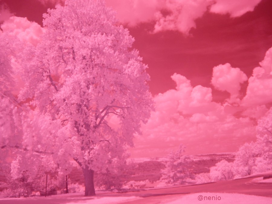 cornell-ir-001-original.JPG