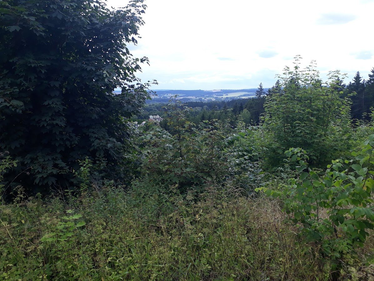 20250724_160629.jpg