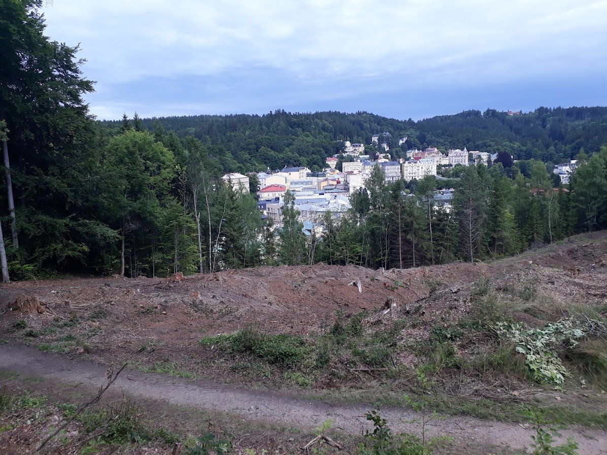 20250724_155605.jpg