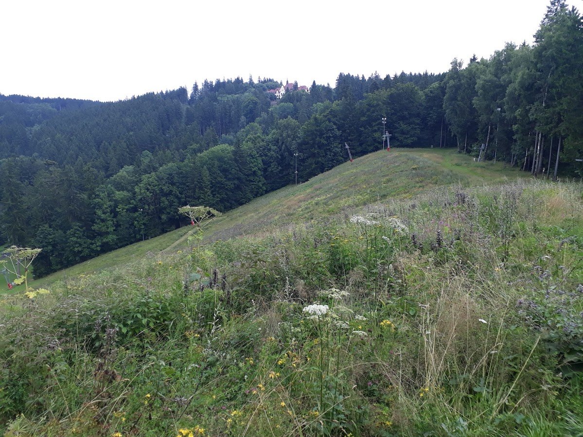 20250725_154738.jpg