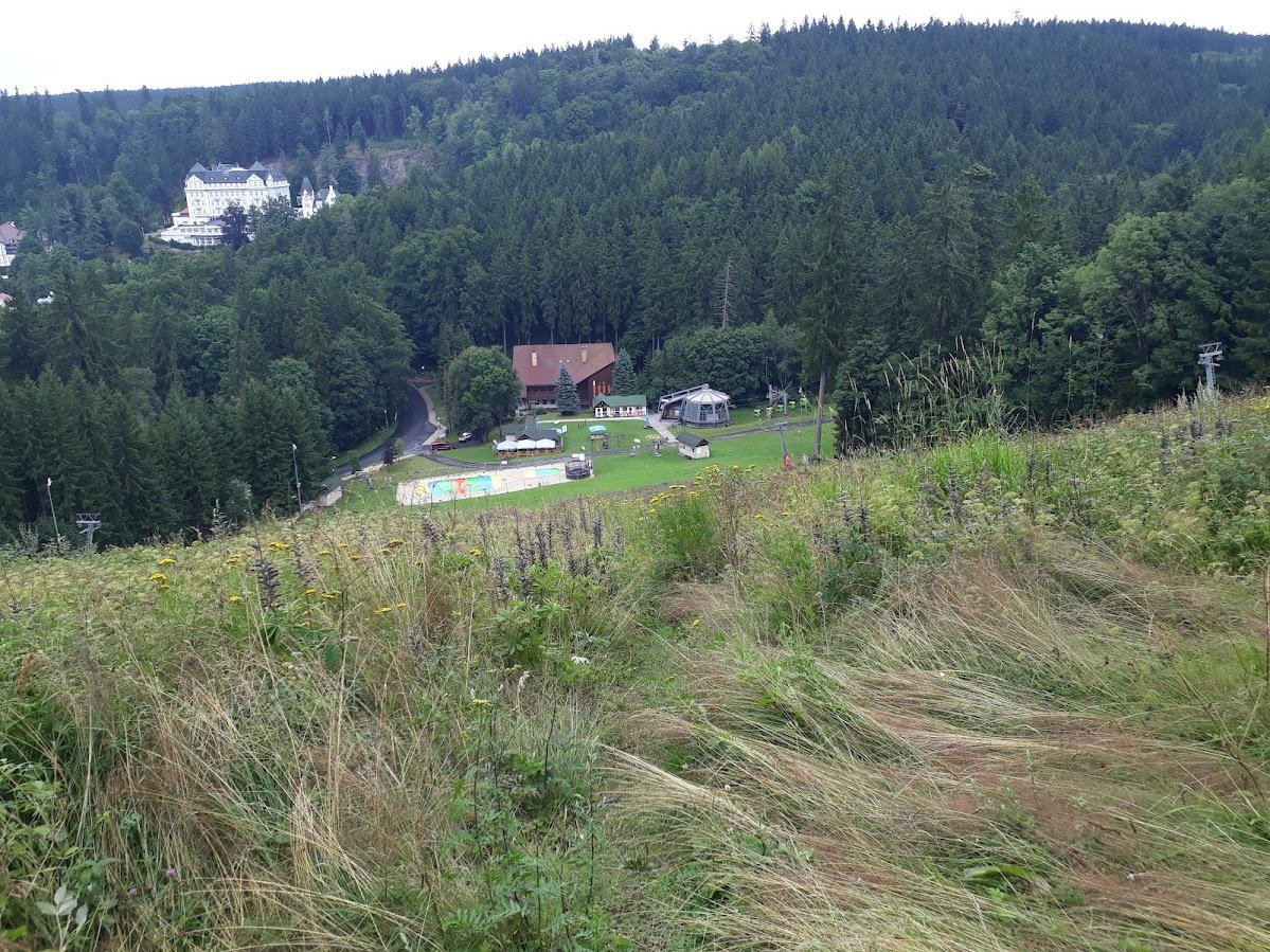 20250725_154920.jpg
