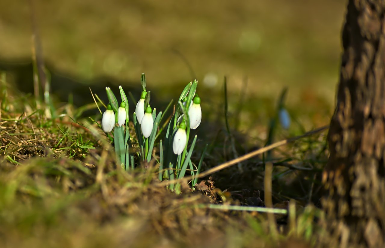 DSC_0004.jpg