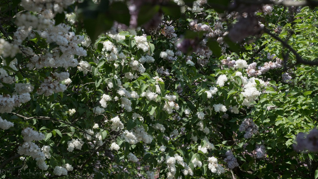 DSC01039.JPG