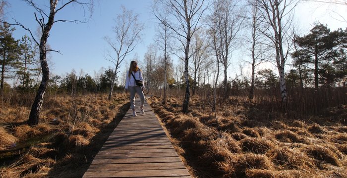Aukštumala Cognitive Trail