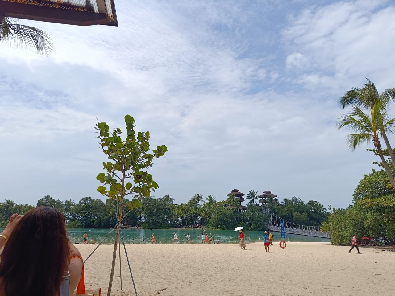 IMG_20250202_124859.jpg