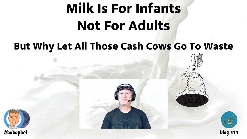 411 Thm.jpg