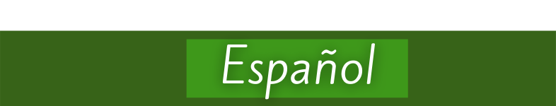 Español (1).png