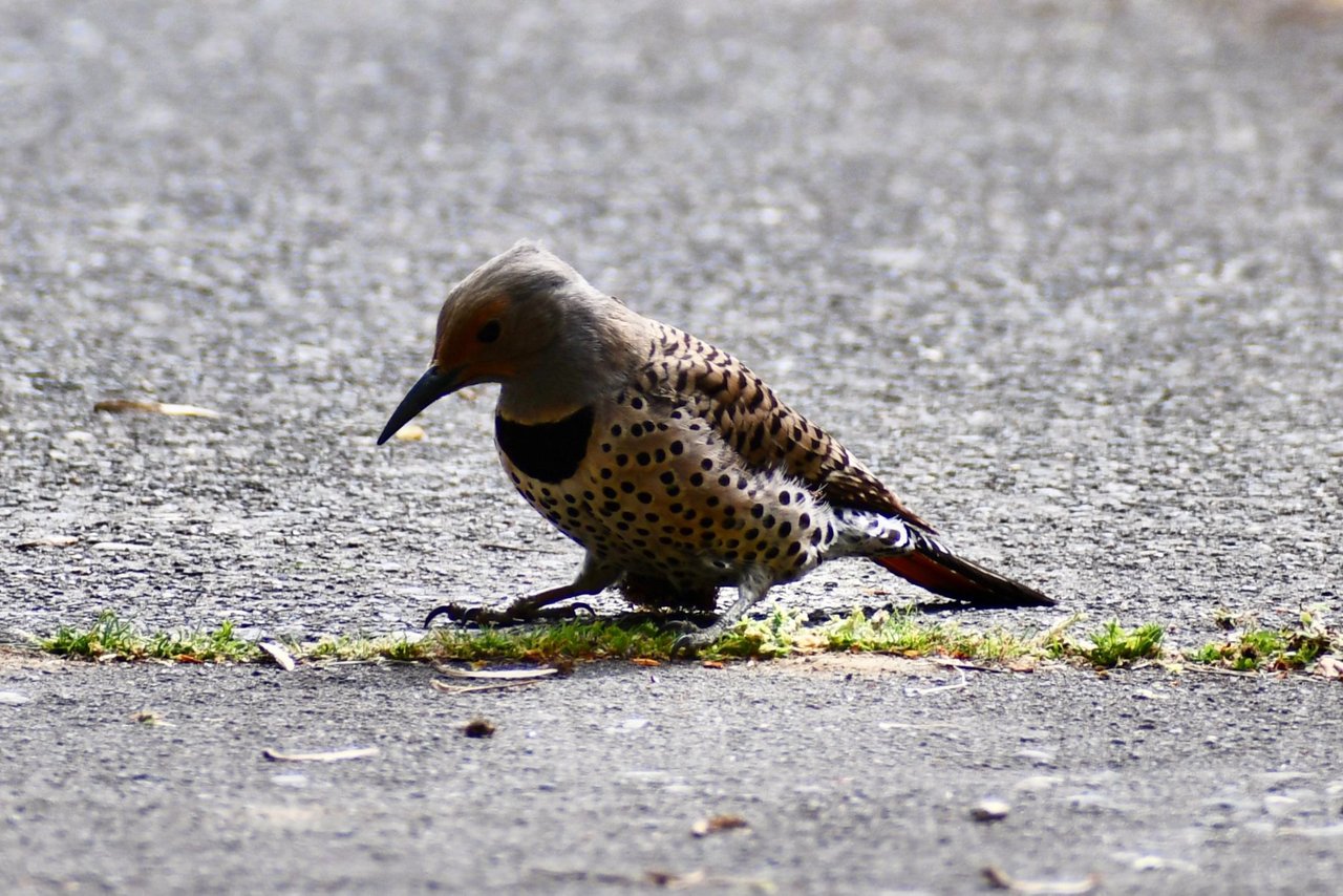 DSC_3944.jpg