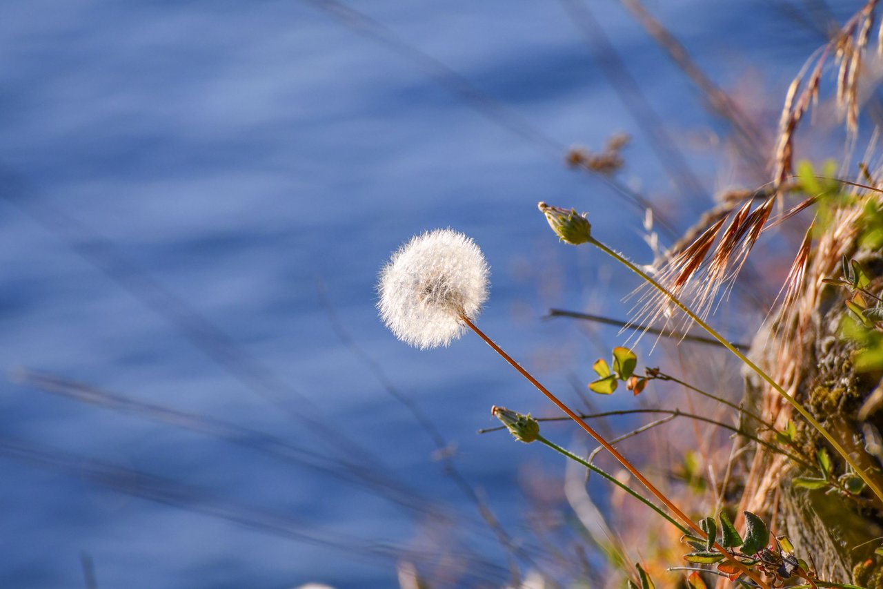 DSC_0022.JPG