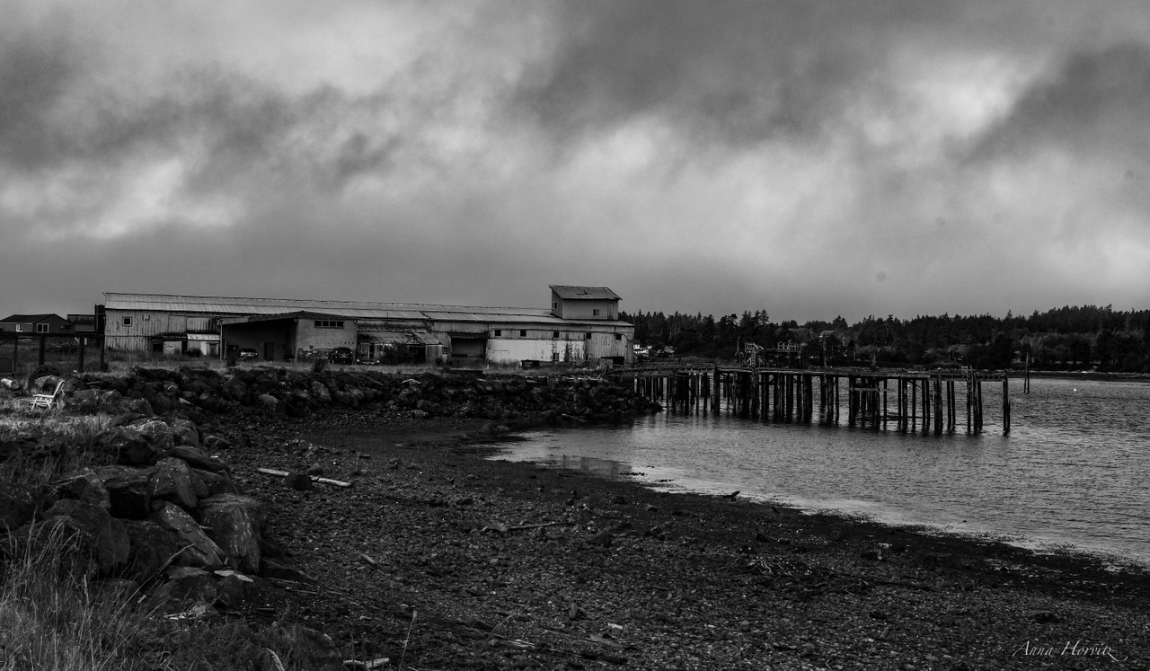 DSC_8517.JPG