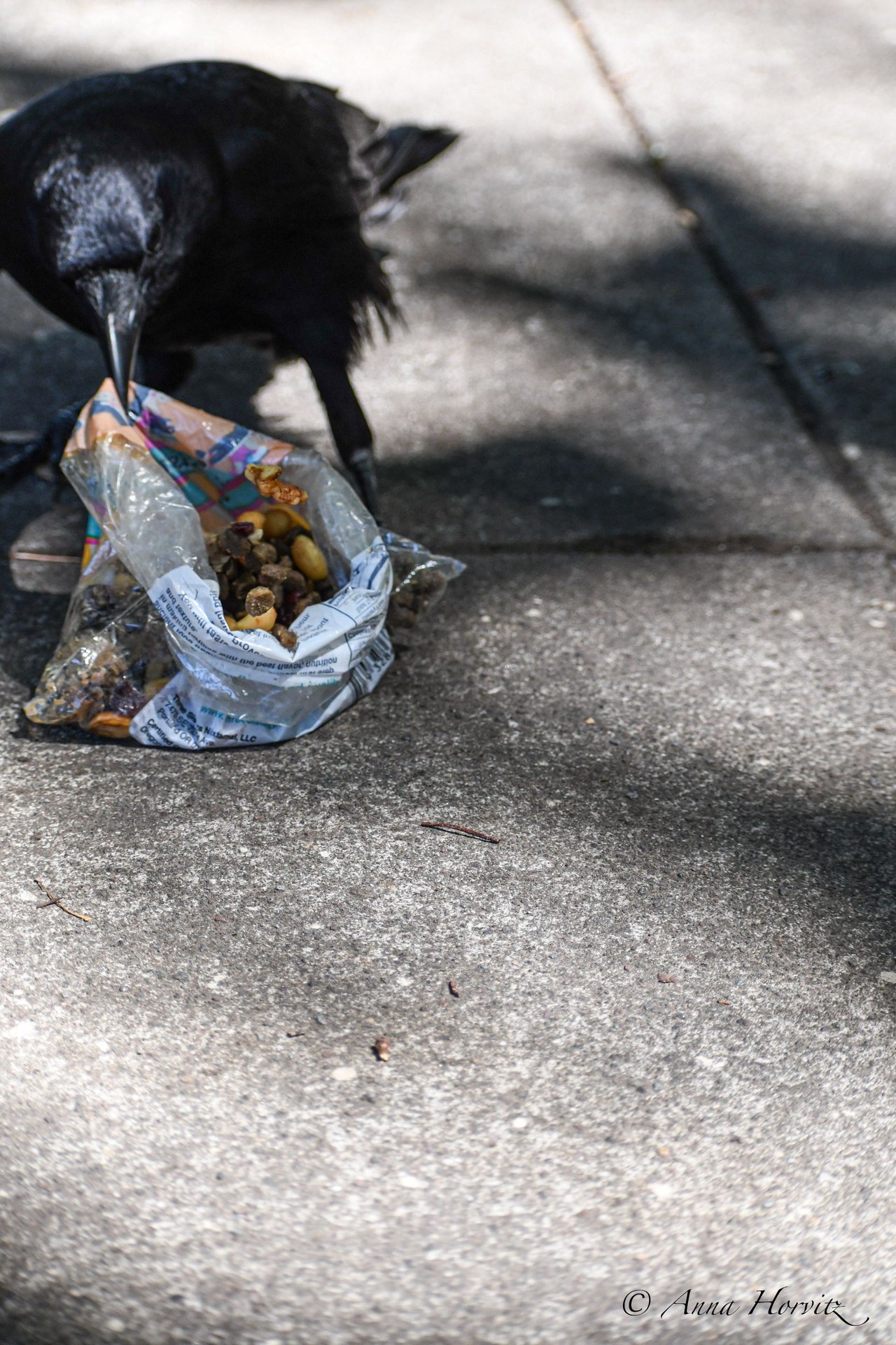 DSC_3382.JPG