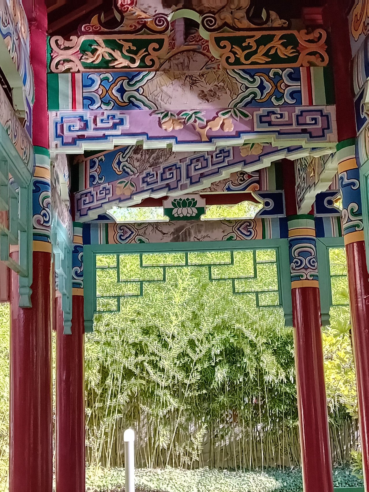 20230808_173647.jpg