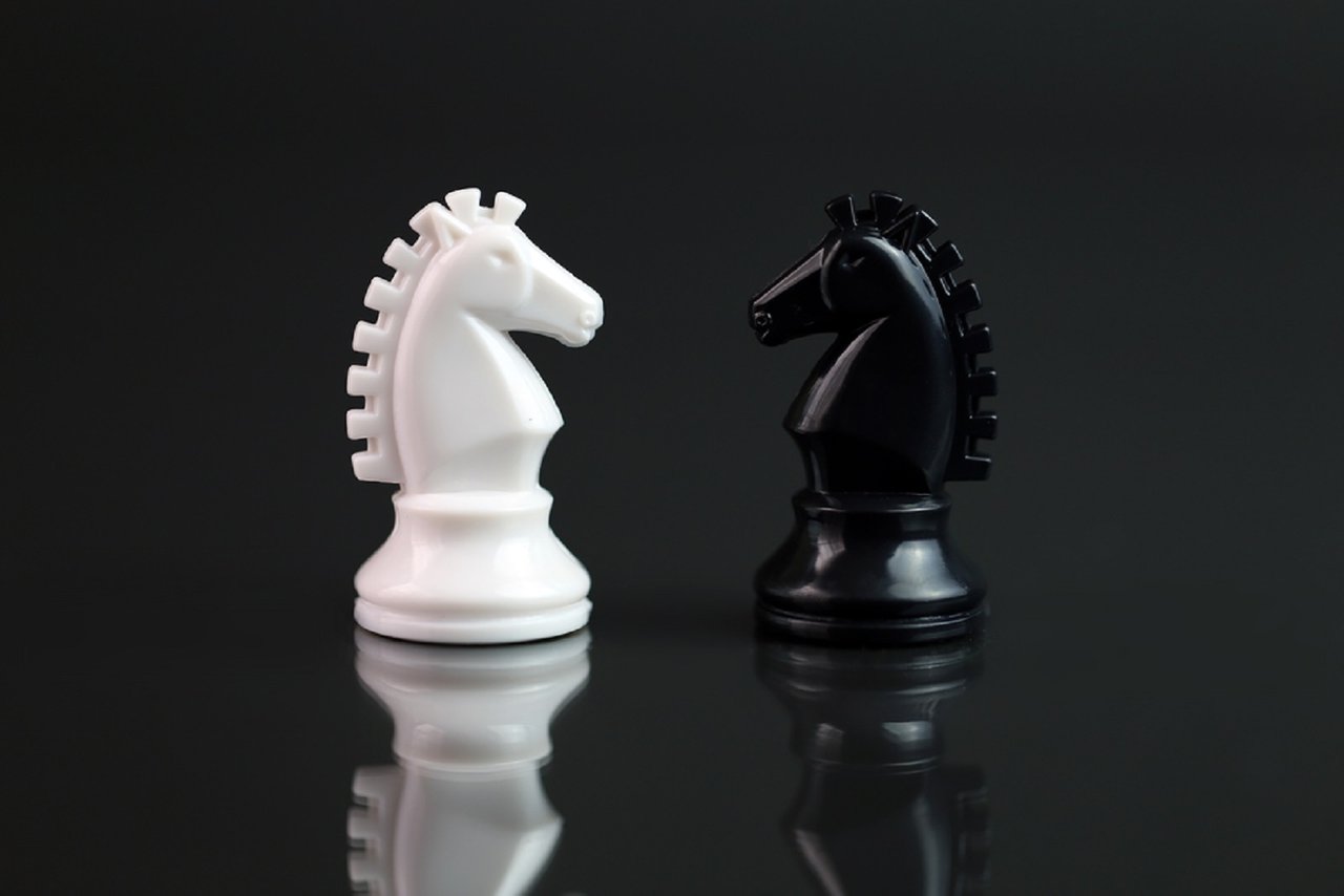 chess-horse.jpg