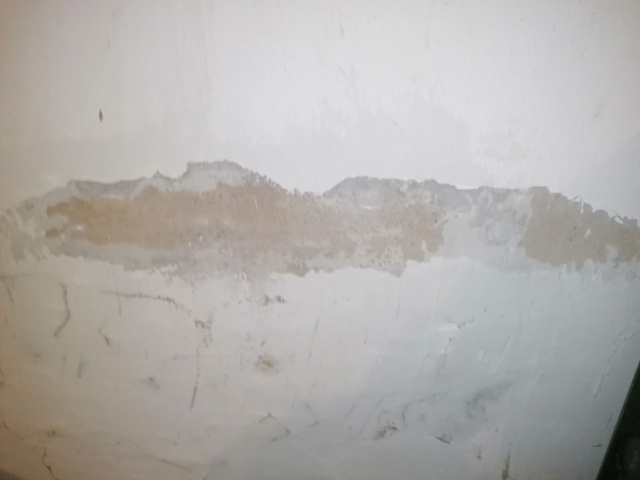IMG_20250322_081258.jpg