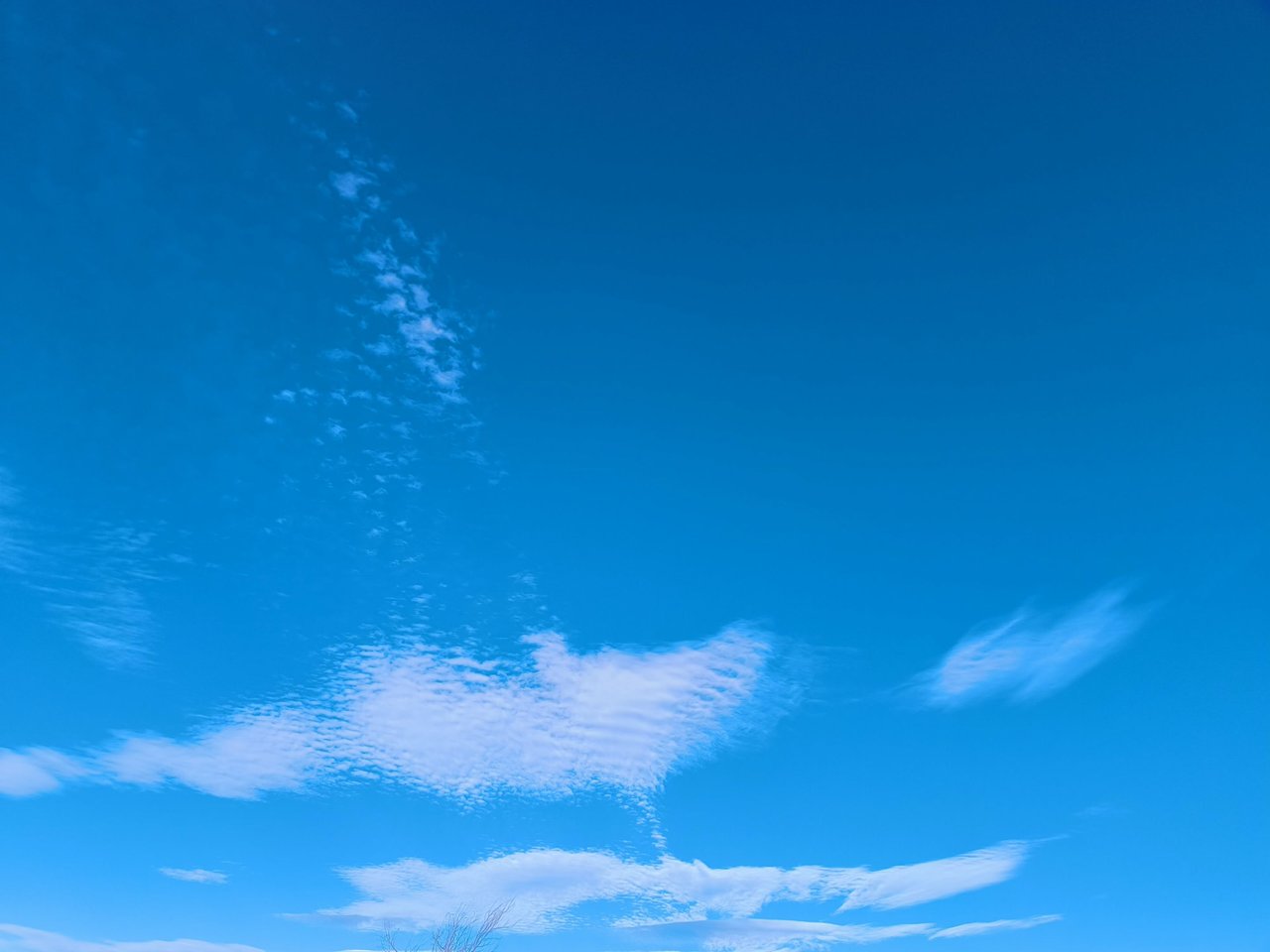 20240729230931.jpg