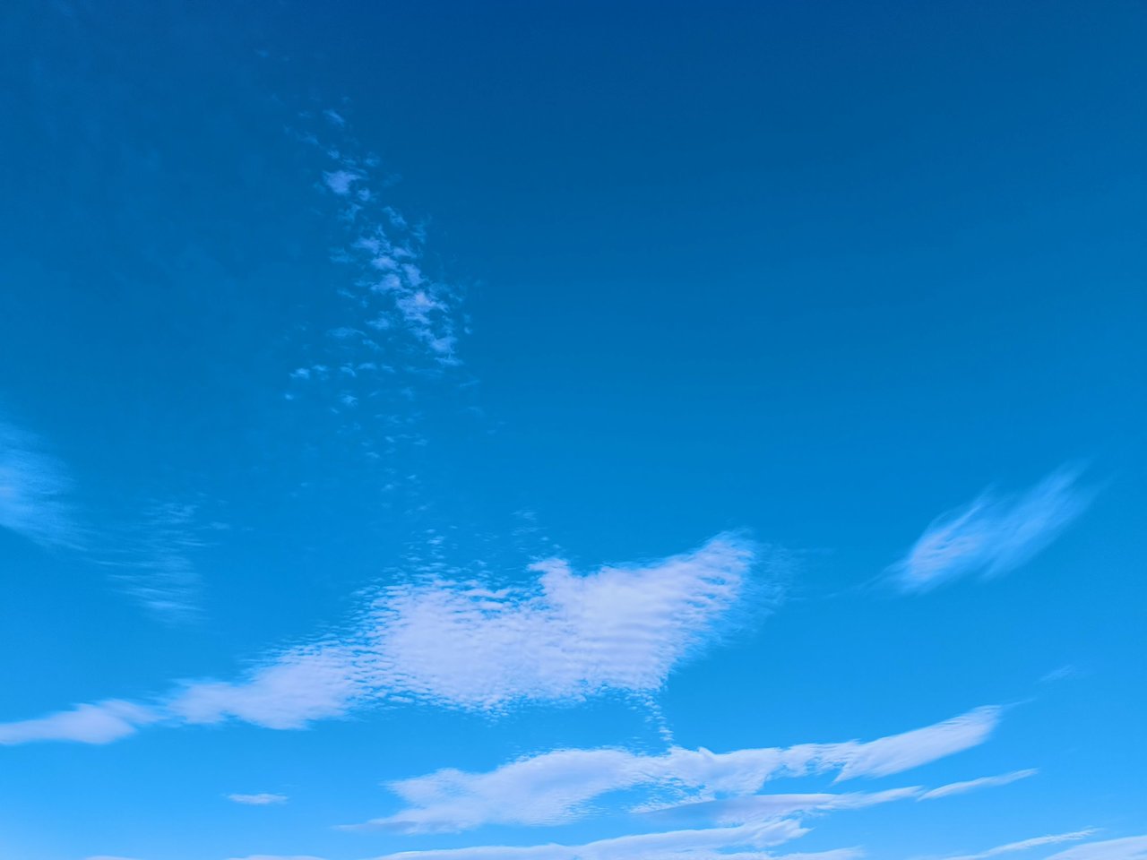 20240729230922.jpg
