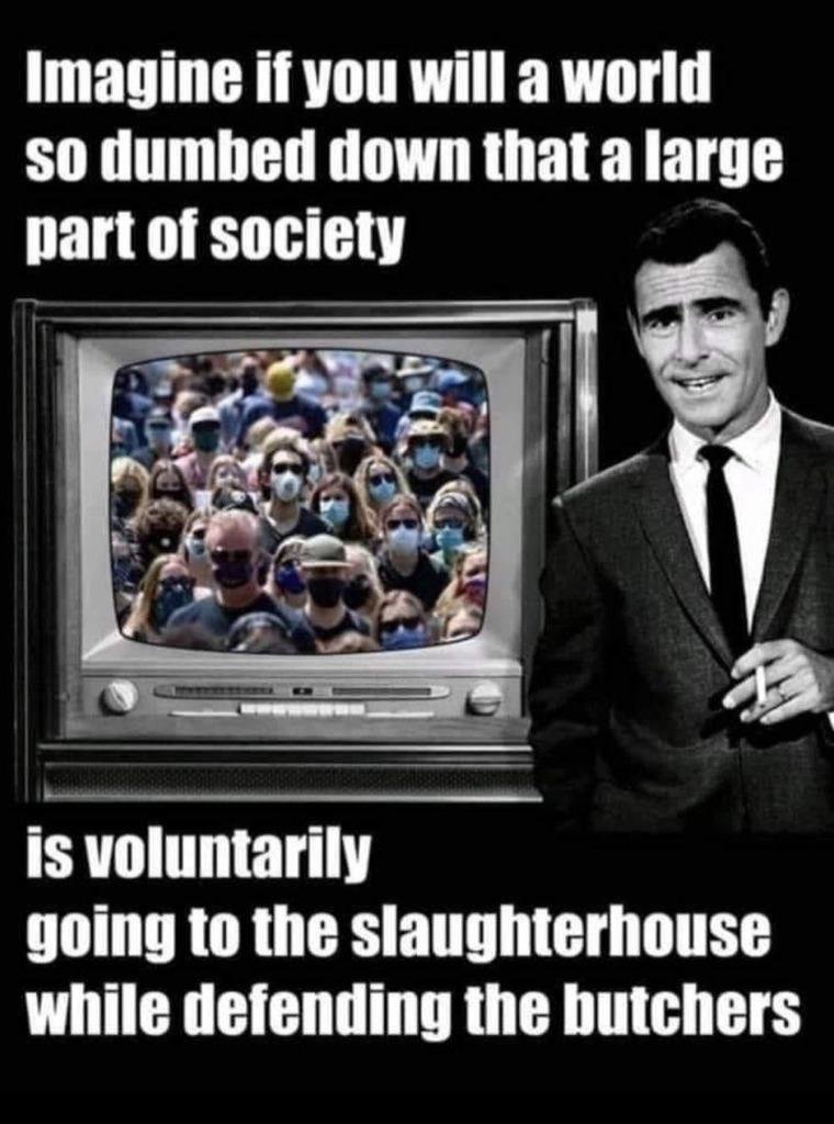 Dumbed down-ZAnRTwEJaaLXQBjtnWBunO.jpg