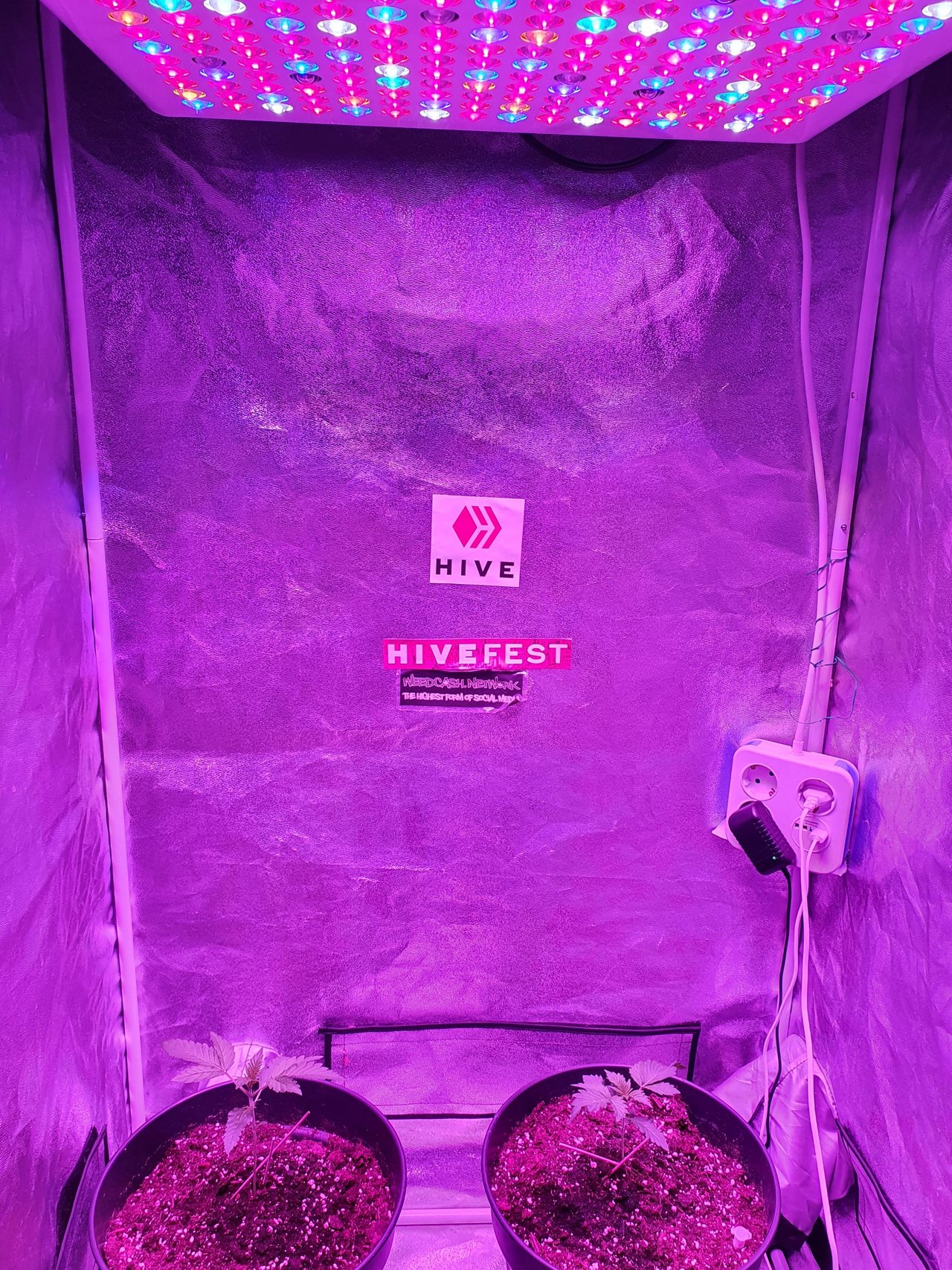 20221115_132459.jpg