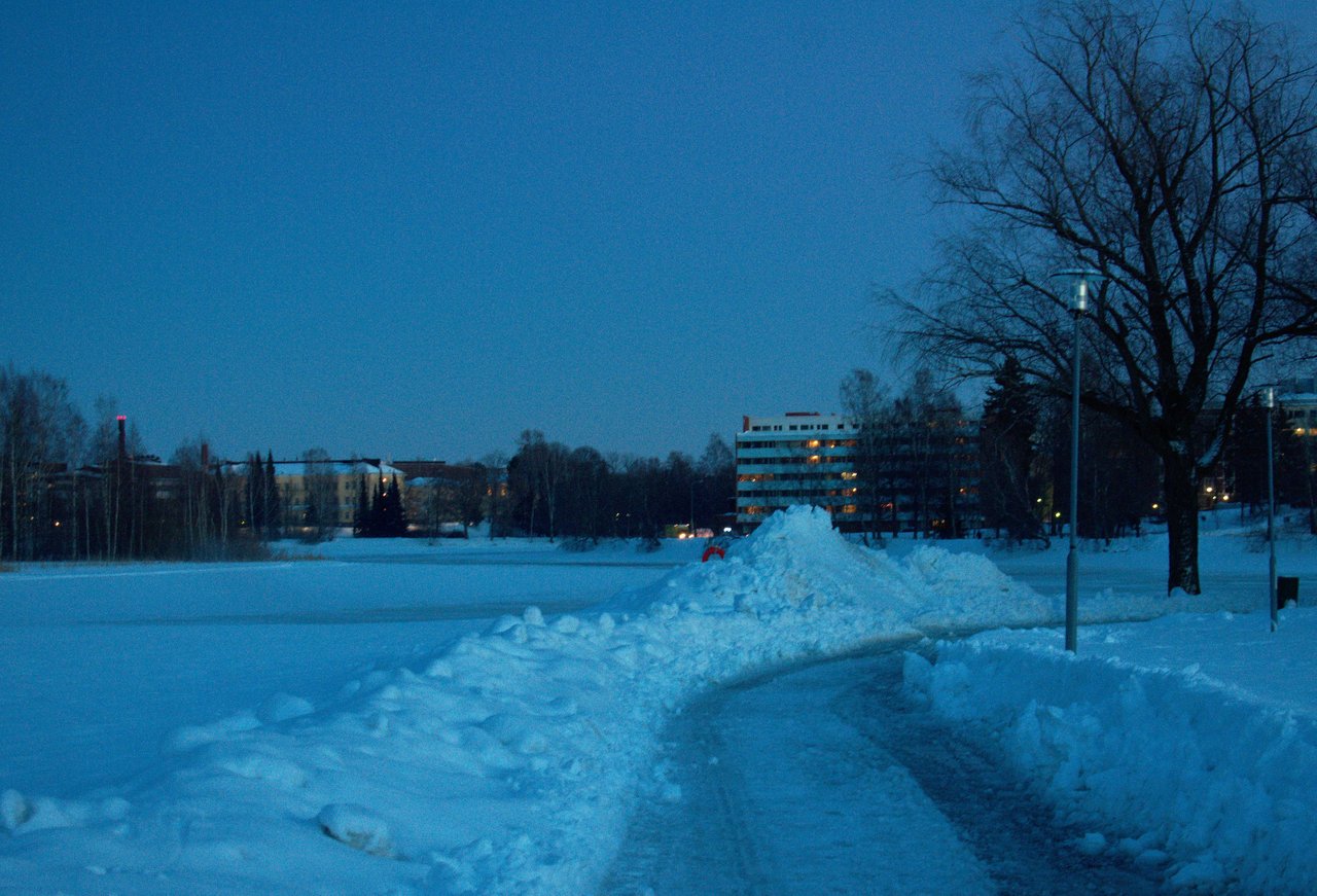 DSC_3206.jpg